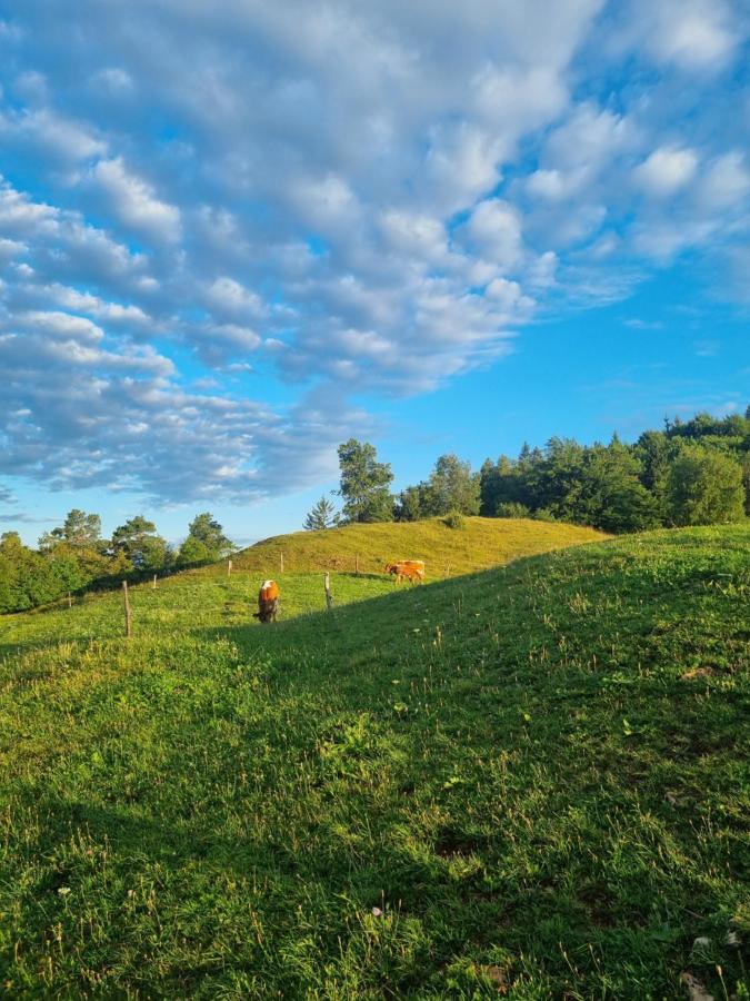 Apartma Ana In Manca Begunje na Gorenjskem Zewnętrze zdjęcie